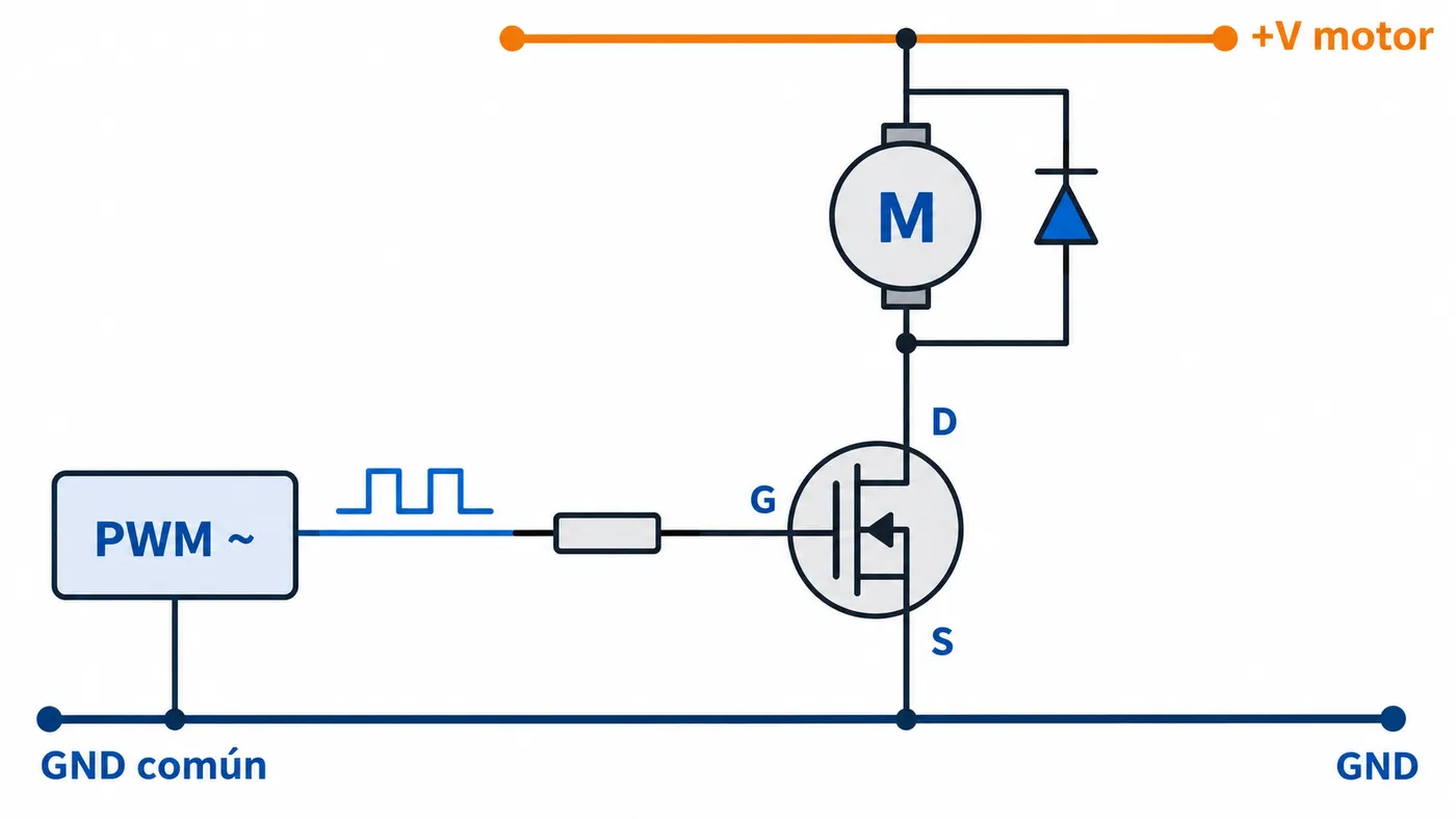 Pin PWM del microcontrolador a la puerta de un MOSFET que conmuta un motor DC con diodo flyback en paralelo